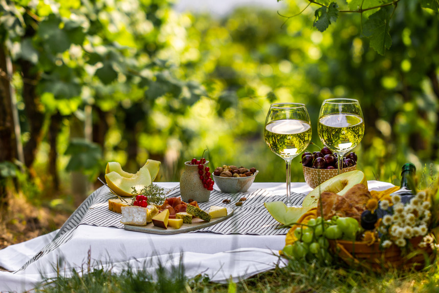 Perfect picnic wines: top picks for you 